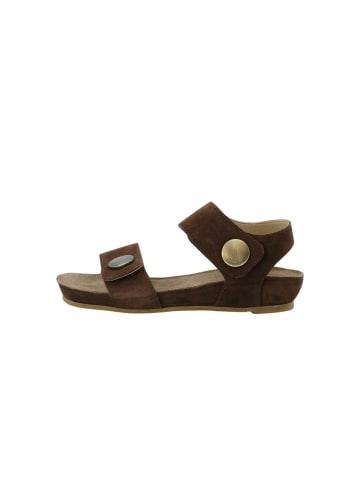 Cashott Sandalen CASAVA in Dark Brown