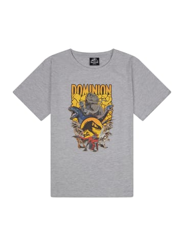 Jurassic World T-Shirt Jurassic World Dominion in Grau