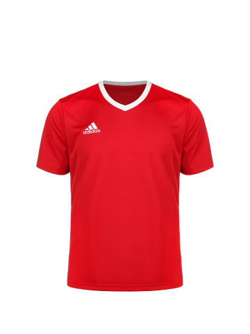 adidas Performance Trikot Entrada 22 in rot / weiß