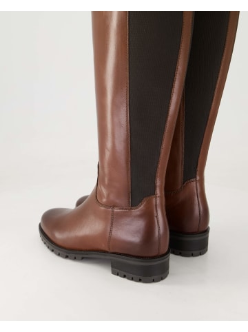 Terry Klassische Stiefel in Braun
