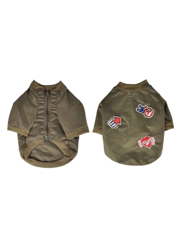 dynamic24 Design Hunde Jacke Bomberjacke in Grün