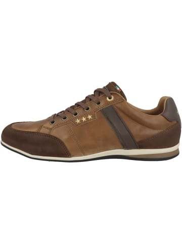 Pantofola D'Oro Sneaker low Roma Uomo Low in braun