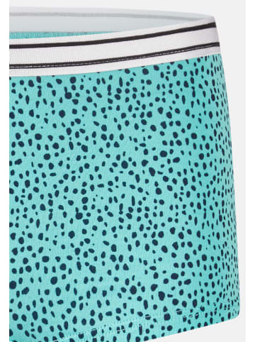 Schiesser Short Slip Teens Girls 95/5 Cotton in Mint/Dunkelblau