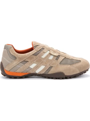 Geox Sneakers Low in BEIGE/DK ORANGE