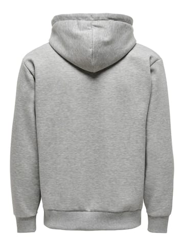 Only&Sons Sweatshirt ONSCERES in Grau