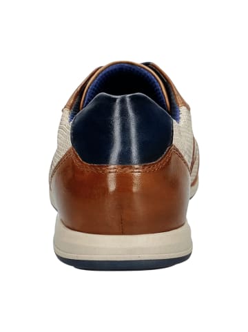 Bugatti Sportliche Schnürschuhe in Braun