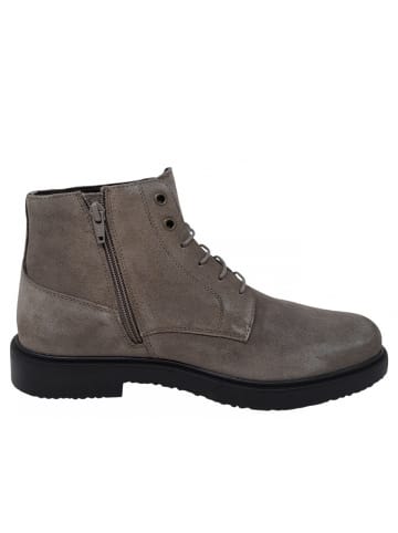 Geox Schnürstiefel Ankle Boots in Beige