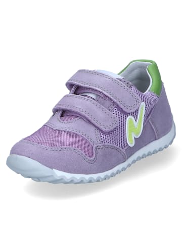 Naturino Low Sneaker SAMMY  in Violett