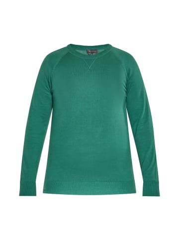 boline Herren Pullover in GRÜN