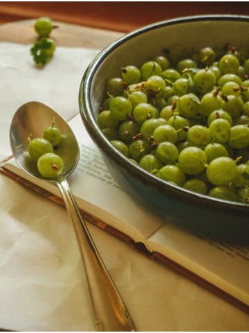 GARDENZO 3er-Set: Stachelbeeren Grön