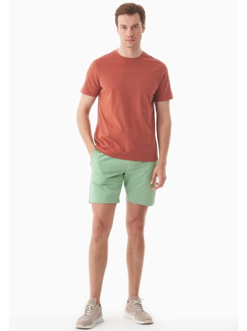 Organication Shorts "SAHIN" in Mineralgrün