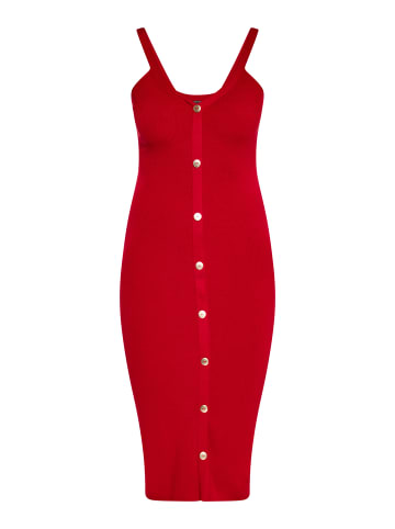 faina Kleid in Rot