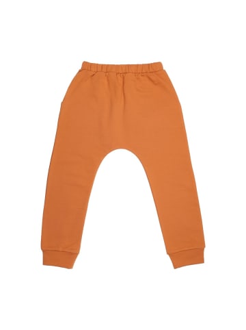 Walkiddy Jogginghose Jogginghose aus Baumwolle (Bio)