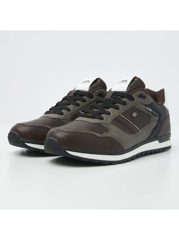 British Knights Sneaker Classor in dunkelbraun/taupe/schwarz/weiss