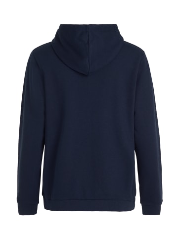 Protest " CLASSIC LOGO HOODY in Ground Blue