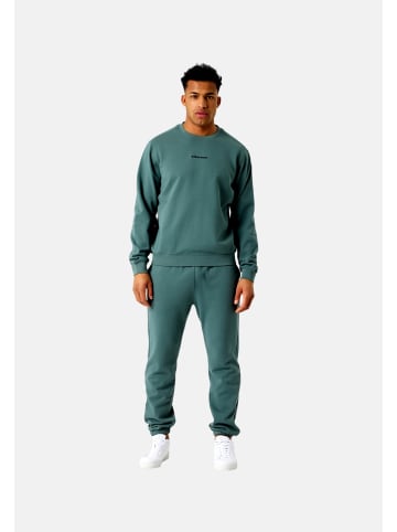 Björn Borg Sweatshirt in grün