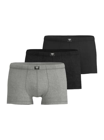 CECEBA Pants 3Er Pack Challenger in grau-dunkel-melange