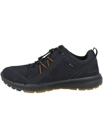 Ecco Outdoorschuhe Terracruise II in blau