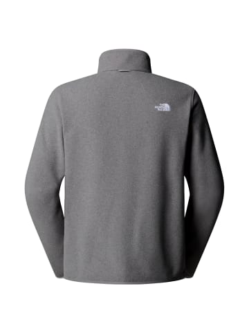 The North Face Glacier Fleece Jacket in Grau