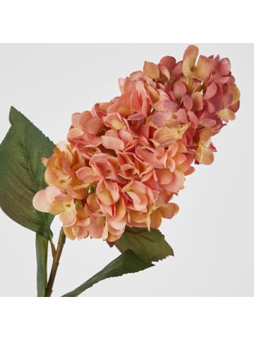 Butlers Kunstblume FLORISTA Hortensie in Durchsichtig