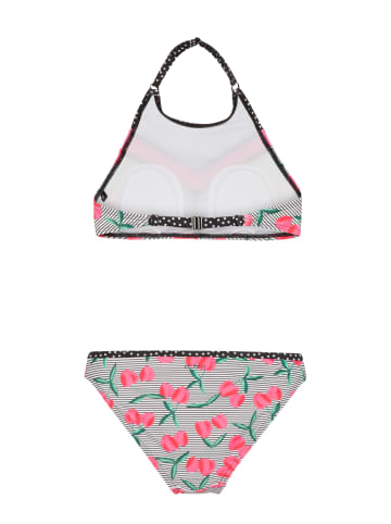 Protest " HESTER JR in Seashell