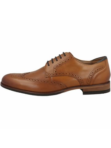 Clarks für Erwachsene in uni
