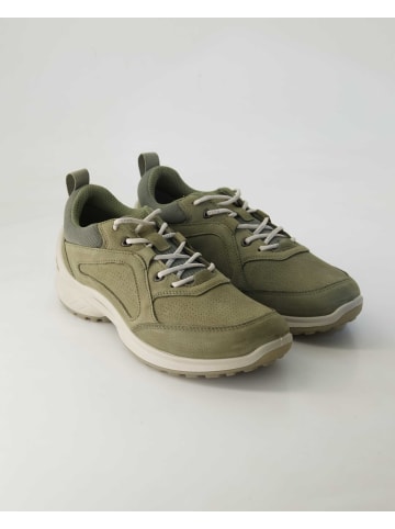 Ecco Sneaker low in Grün