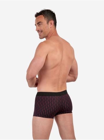 HOM Trunk Trunk Dunes in red print