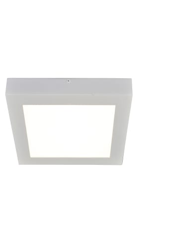 näve LED Aufbauleuchte in weiß - (L)16.8 cm x (B)16.8 cm x (H)3.9 cm - EEK G