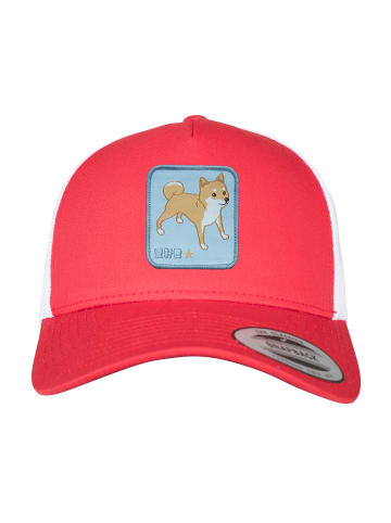 F4NT4STIC Trucker Cap Shiba Inu in red-white