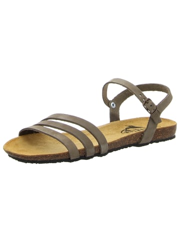 Plakton Sandalen in grün