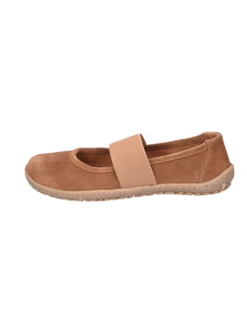 KOEL Schnürschuh in braun