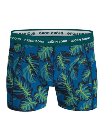 Björn Borg Boxershort 3er Pack in Blau/Türkis