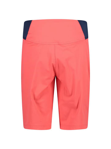 cmp Stechshorts CMP Bermuda in Koralle