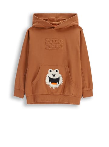 Coccodrillo Kapuzen-Sweatshirt in braun