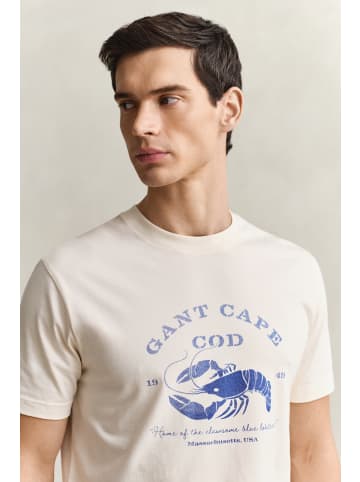 Gant T-Shirt in ecru