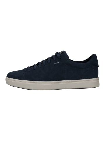 Geox Sneaker in Blau
