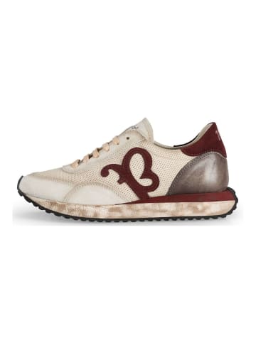 Felmini Sneaker in Multicolor