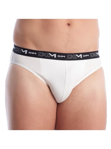 DIM Slip in Multicolored