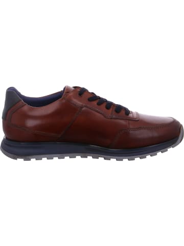 Bugatti Sneaker Cirino in Braun