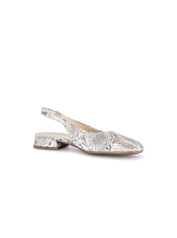 Gabor Slingpumps in grün