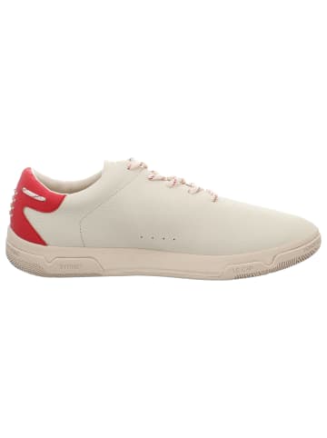 TBS Schnürschuh in beige