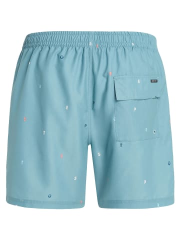 Protest M PRTKOSHI BEACHSHORT in Grün