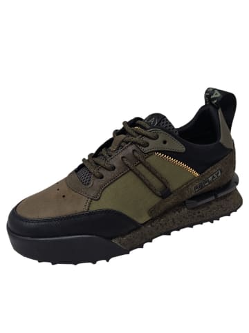 Replay Sneaker  in Grün
