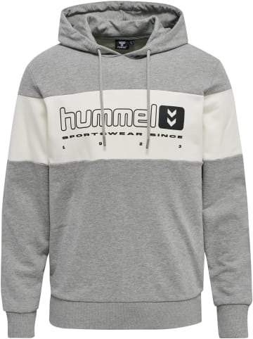 Hummel Hummel Kapuzenpullover Hmllgc Musa E-Sport Erwachsene in GREY MELANGE