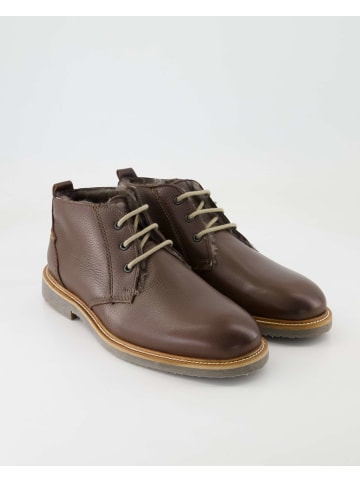 LLOYD Klassische Schnürschuhe in Braun