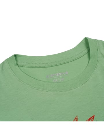 Icepeak T-Shirt in Grün