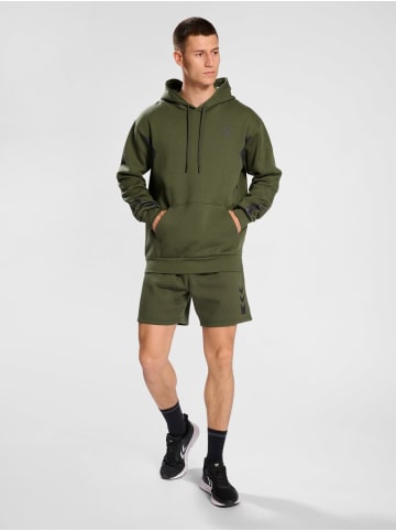 Hummel Logo Hoodie Kapuzen Pullover Sport HMLACTIVE in Olive