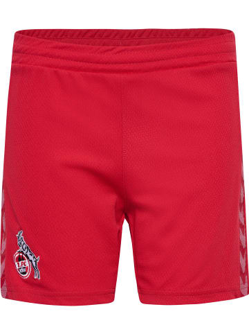 Hummel Hummel Kurze Hose 1Fck 23/24 Fußball Unisex Kinder Atmungsaktiv Feuchtigkeitsabsorbierenden in TRUE RED