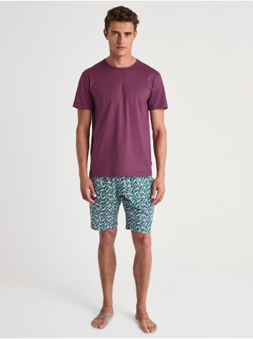 Calida Shirt in mulberry red